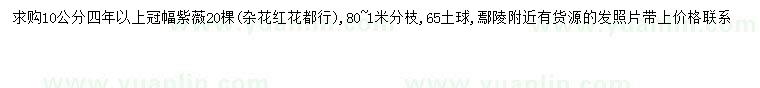求購10公分紫薇