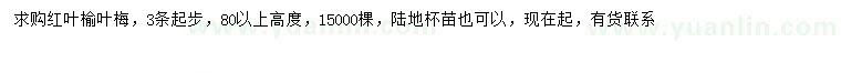 求購高80公分以上紅葉榆葉梅