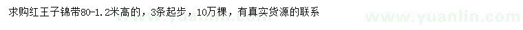 求購0.8-1.2米紅王子錦帶