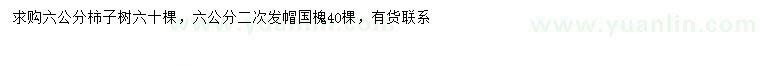 求購(gòu)6公分柿子樹、國(guó)槐
