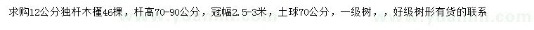 求購(gòu)12公分木槿