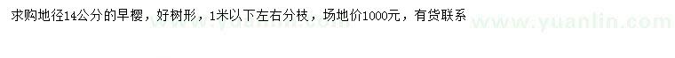 求購(gòu)地徑14公分早櫻