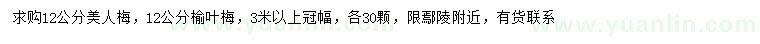 求購12公分美人梅、榆葉梅