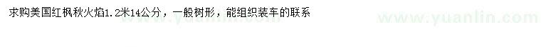 求購14公分美國紅楓秋火焰