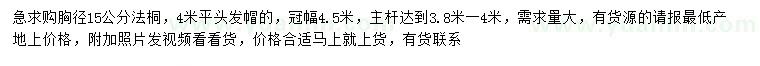 求購胸徑15公分法桐
