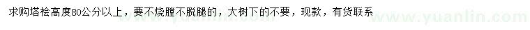 求購高80公分以上塔檜
