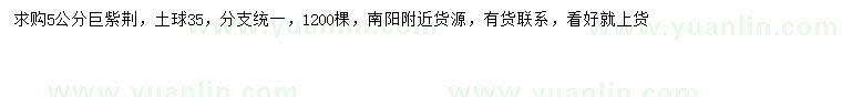 求購(gòu)5公分巨紫荊