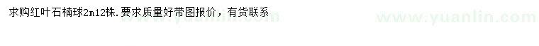 求購(gòu)2米紅葉石楠球
