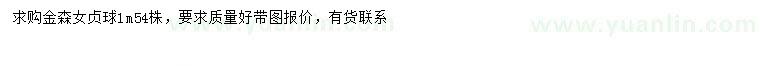 求購1米金森女貞球