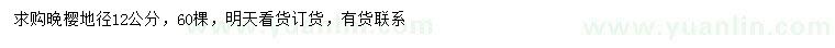 求購地徑12公分晚櫻