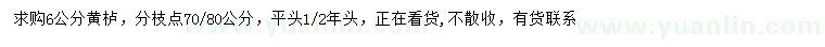 求購6公分黃櫨