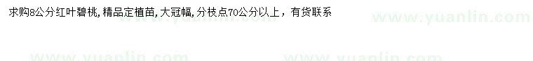 求購8公分紅葉碧桃