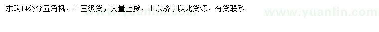 求購14公分五角楓