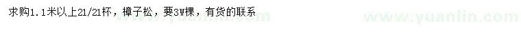 求購1.1米以上樟子松
