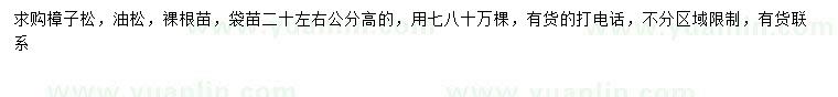 求購高20公分樟子松、油松