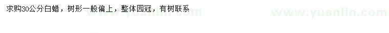 求購30公分白蠟