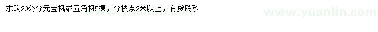 求購(gòu)20公分元寶楓、五角楓