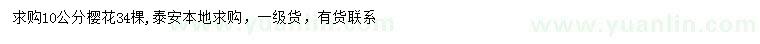 求購10公分櫻花