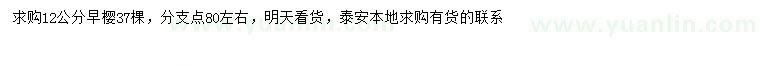 求購12公分早櫻