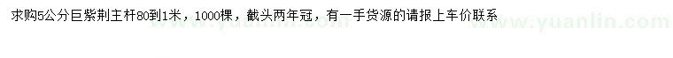 求購5公分巨紫荊