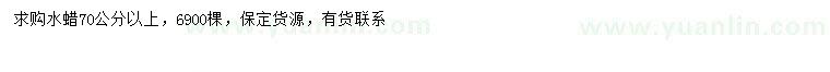 求購70公分以上水蠟