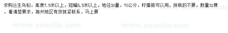 求購(gòu)冠幅5.5米以上叢生烏桕