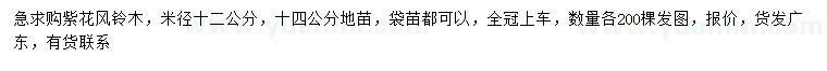 求購米徑12、14公分紫花風(fēng)鈴木