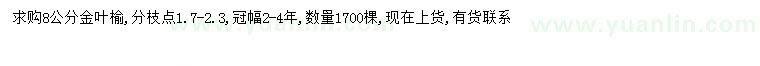 求購8公分金葉榆