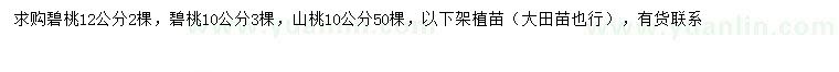 求購10、12公分碧桃、10公分山桃