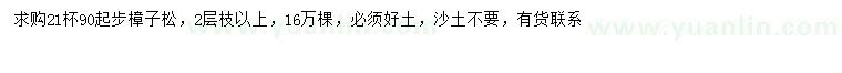 求購90公分以上樟子松