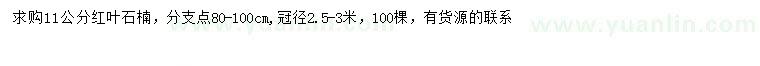 求購(gòu)11公分紅葉石楠