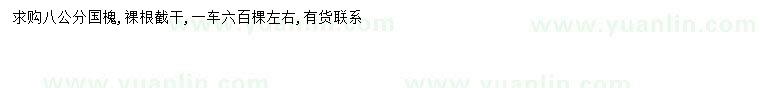 求購8公分國槐