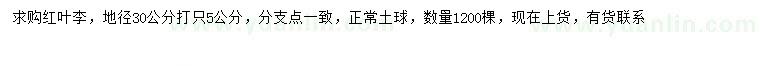 求購30量5公分紅葉李