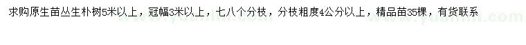 求購(gòu)冠幅3米以上叢生樸樹(shù)