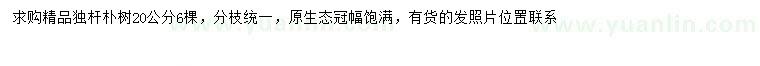 求購(gòu)20公分樸樹(shù)