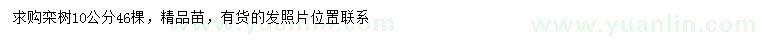 求購(gòu)10公分欒樹(shù)