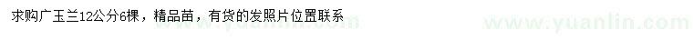 求購12公分廣玉蘭