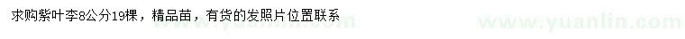 求購8公分紫葉李
