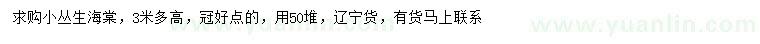 求購(gòu)高3米以上叢生海棠