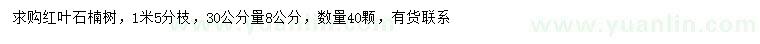 求購(gòu)30量8公分紅葉石楠