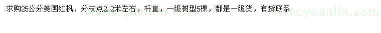 求購25公分美國紅楓