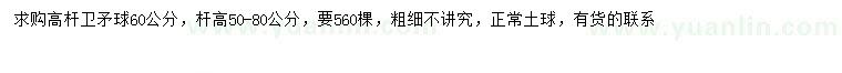 求購60公分高桿衛(wèi)矛球