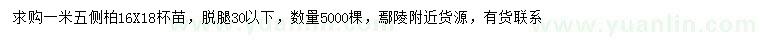 求購1.5米側(cè)柏