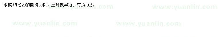 求購胸徑20公分國槐