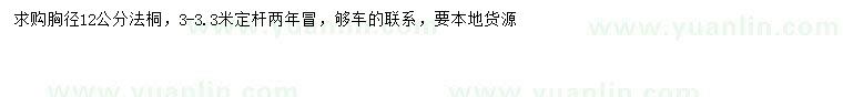 求購胸徑12公分法桐