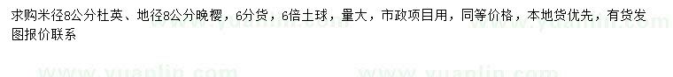 求購米徑8公分杜英、地徑8公分晚櫻