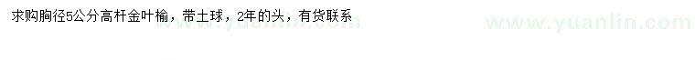 求購(gòu)胸徑5公分高桿金葉榆