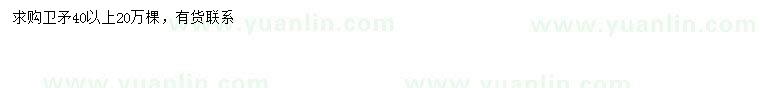 求購(gòu)40公分以上衛(wèi)矛