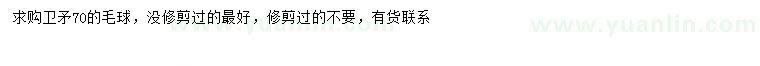 求購10公分衛(wèi)矛球