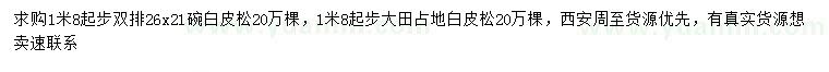 求購1.8米以上白皮松